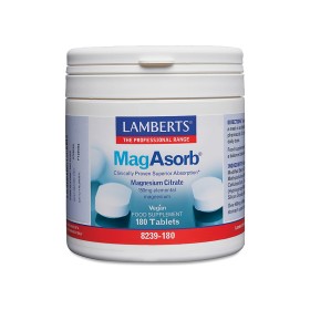 Lamberts MagAsorb 180tabs